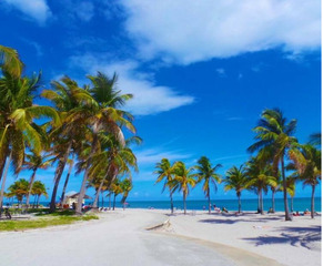 2Bedroom  Luxury Vacation Apartment - 3