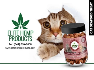 Get a CBD Treat for Your Cat | Elite Hemp Products