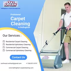 Bellingham's Best Carpet Cleaners: Expert Service for a Fresh and Clean Home