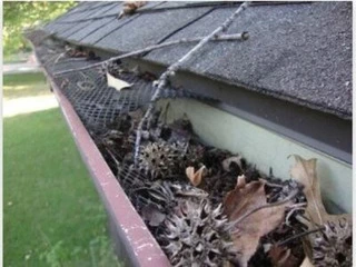 Gutter Services Chatham County