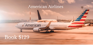 American Airlines Flights