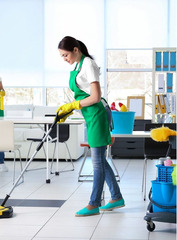 Cleaning in Lake Ridge VA by a professional company - 3