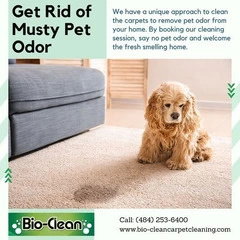 Best Pet Odor Cleaning in Pottstown PA