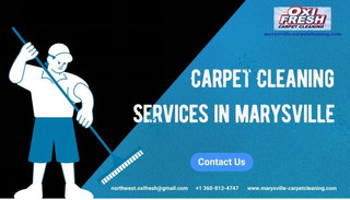 Revitalize Your Home with Professional Carpet Cleaning in Marysville