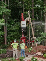 Tree Service in Rochester NY