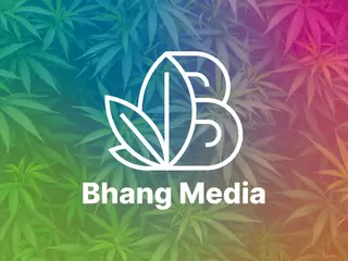 Bhang Media Inc - CBD Marketing Agency in Boca Raton, Florida