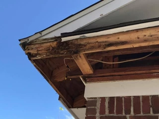 Termite damage repair