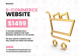 E-commerce Website Design - Starting from Dollar 1499