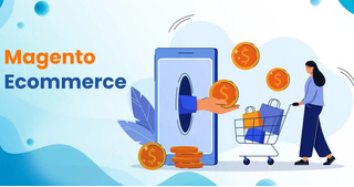 Expand Your Company  With Our Experience in Ecommerce Solution
