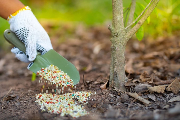 Get The Best Soil Care Treatment Service - Tree Nutrients - Tree Doctor USA - 1/1
