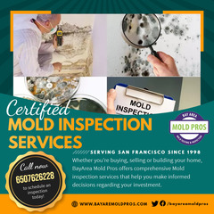 Bay Area Mold Pros - Certified Mold Inspectors for Your Property