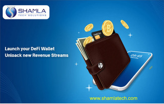 Robust Defi wallet development Company