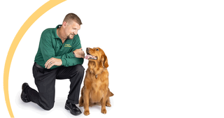 Pest Control Services Melbourne Fl | Rodent Control Services Near Me