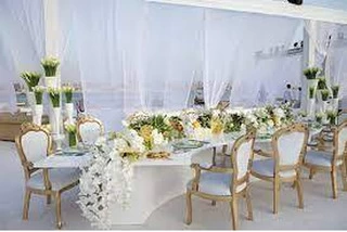 Canopy Chairs And Table Rentals In Houston