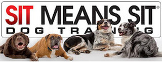 Sit Means Sit Dog Training - Westchester - 3