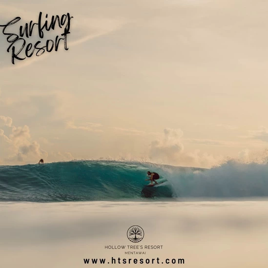 Surf Resort in Mentawai - 1/1