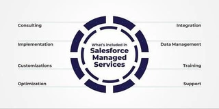 Full Fledge Salesforce Managed Services in USA