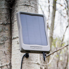 Tactacam Reveal Solar Panel