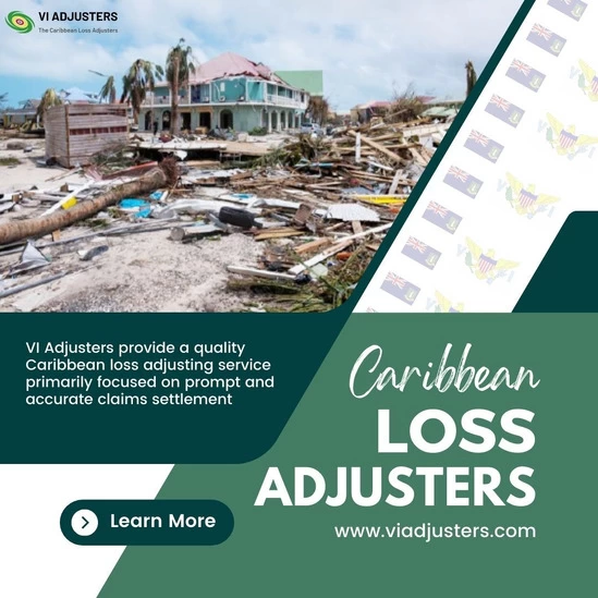 Best Loss Adjusters in Trinidad & Tobago Islands | VI Adjusters - 1/1