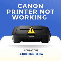 Canon Printer Not Working Properly