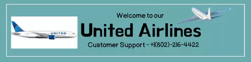How do I find my MileagePlus number with United? - 1/1