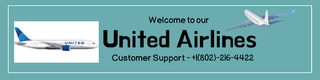 How do I find my MileagePlus number with United?