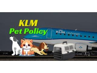 Are you familiar with KLM Pet Policy?