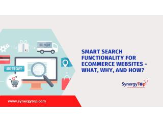 What Is Site Search - SynergyTop