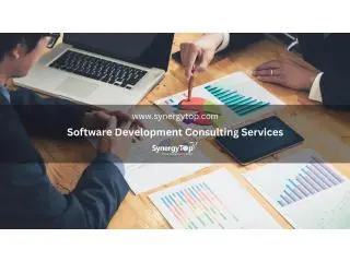 Development Consultant - SynergyTop