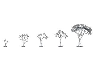 Expertise in Management Consulting M&A | Kuhn Capital