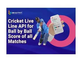 Best Cricket Live Line API  Providers in The USA