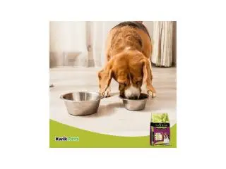 AvoDerm Adult Dry Dog Food - 3