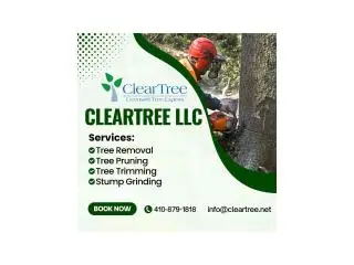 Tree Removal Harford County