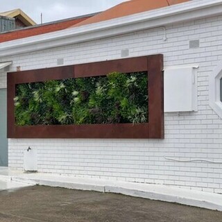Evergreen Triptych Vertical Garden - 2
