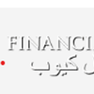 financial audit services