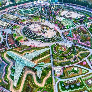 Miracle Garden with Dhow Cruise Tour - Dubai Executive Tours