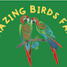 amazingbirds farm